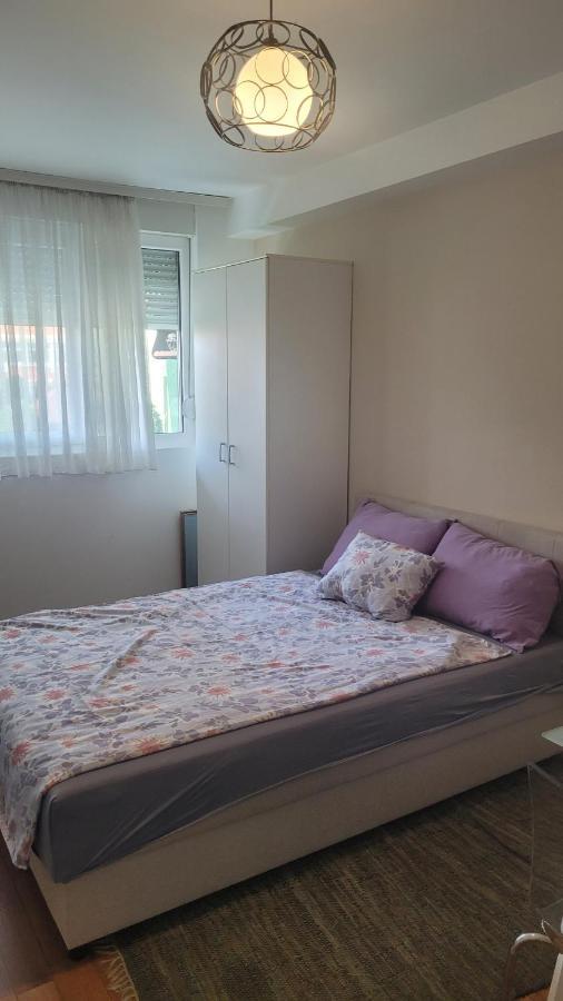 Appartement Stan Na Dan Loznica Extérieur photo