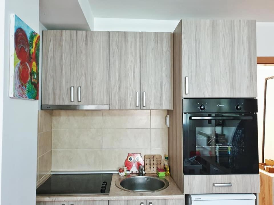 Appartement Stan Na Dan Loznica Extérieur photo