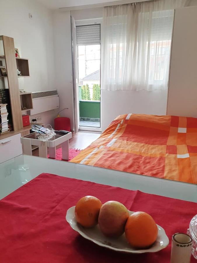 Appartement Stan Na Dan Loznica Extérieur photo